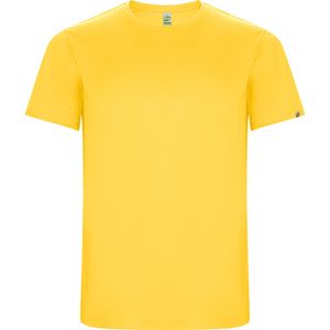 Roly CA0427 - IMOLA T-shirt met raglanmouwen in technisch weefsel van gerecycleerd polyester CONTROL DRY Geel