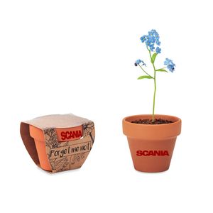 GiftRetail MO6146 - FORGET ME NOT Potje Vergeet-me-nietjes Hout