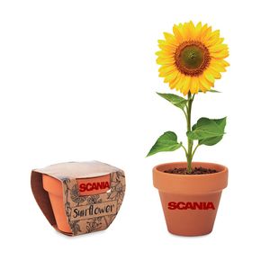 GiftRetail MO6147 - SUNFLOWER Potje Zonnebloem Hout
