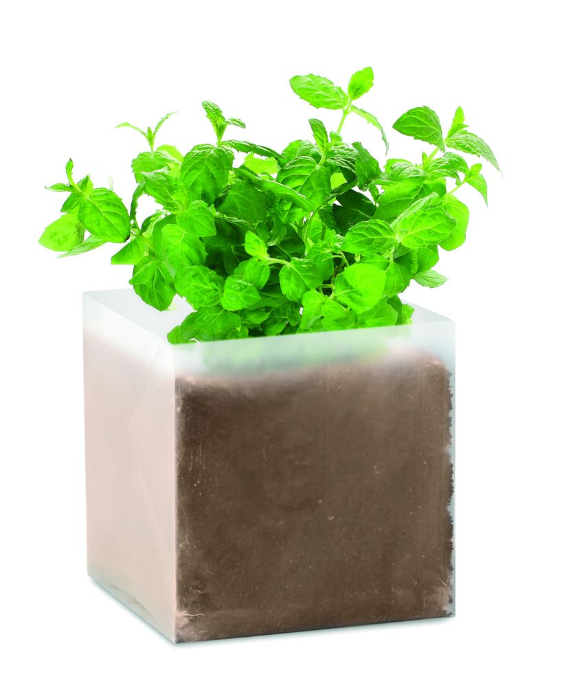 GiftRetail MO9546 - MINT Compost met munt zaadjes