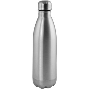 EgotierPro 39026 - RVS Fles Matte Afwerking Diverse Kleuren 750ml SODA Zilver